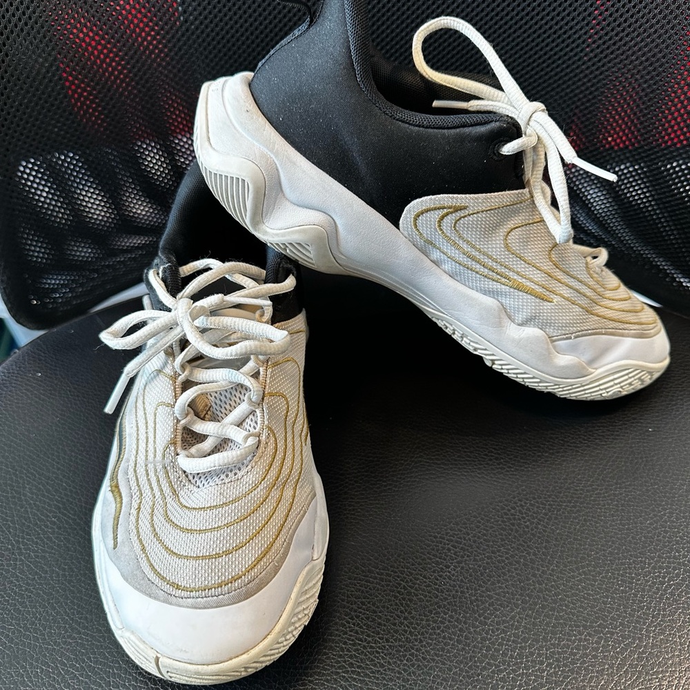 Nike Giannis Immortality 4 basketball shoes